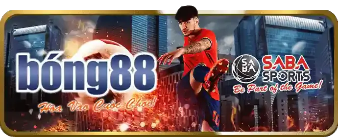hi88 bao phủ rộng khắp các giải đấu bóng đá
